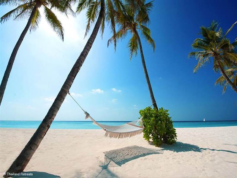 Discover 7 must-do experiences in Koh Samui including island hopping, night markets, jungle adventures, cookery classes and unforgettable dining